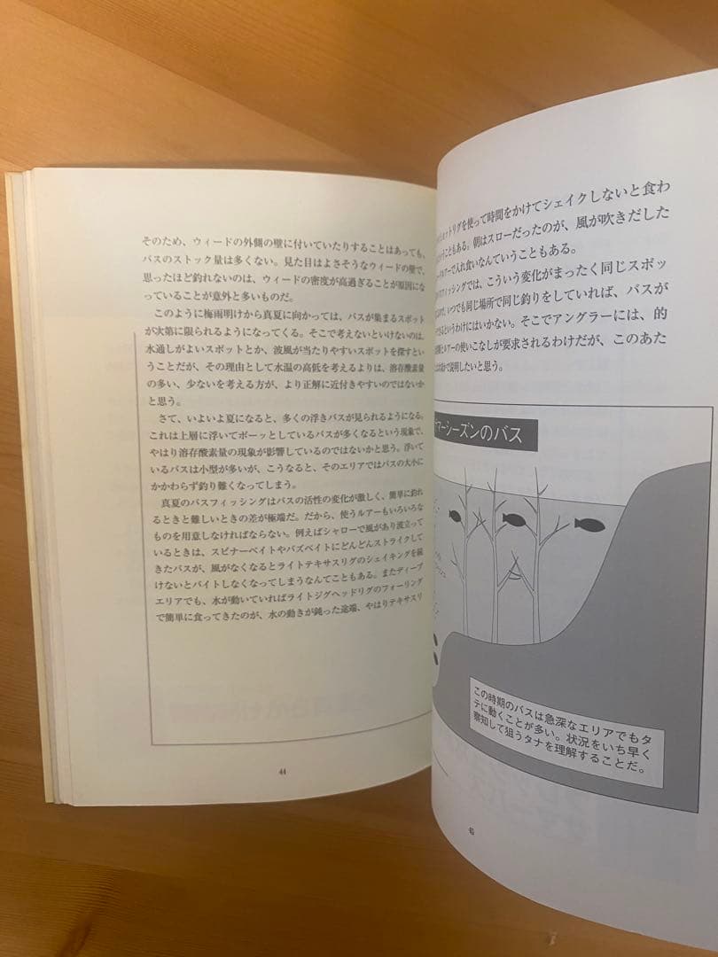 田辺哲男バッシングパターンブック