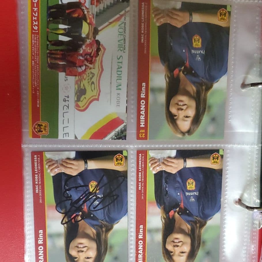 値下げ価格！2015年イベント