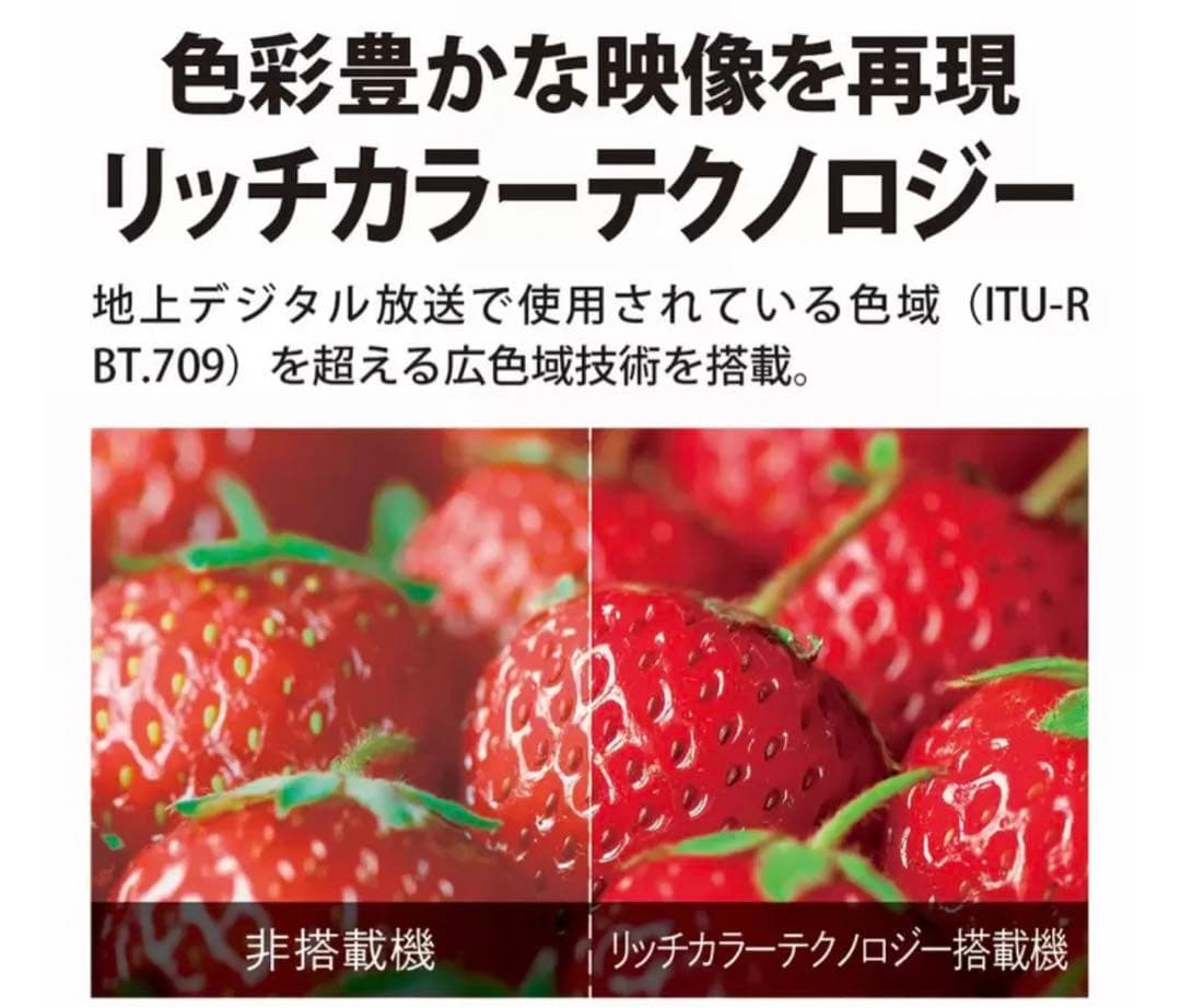 シャープアクオス 65インチ 4K液晶テレビ 4T-C65CH1