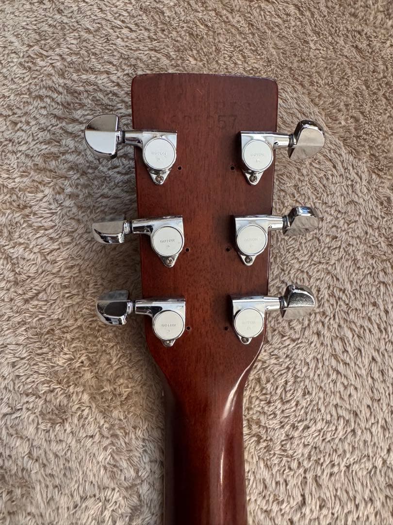 Morris モーリス W-40L レフティ アコギ カタログ付き