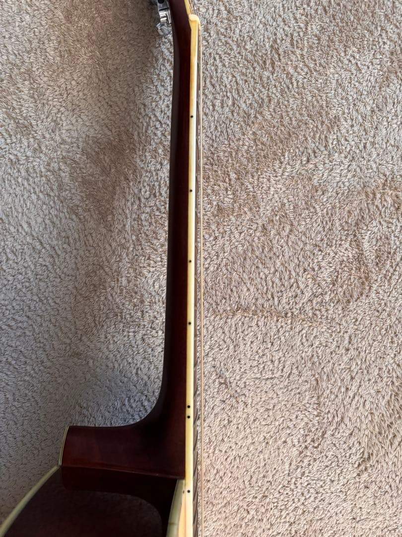 Morris モーリス W-40L レフティ アコギ カタログ付き