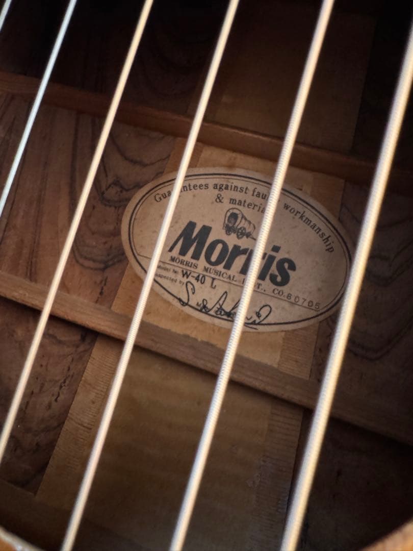 Morris モーリス W-40L レフティ アコギ カタログ付き