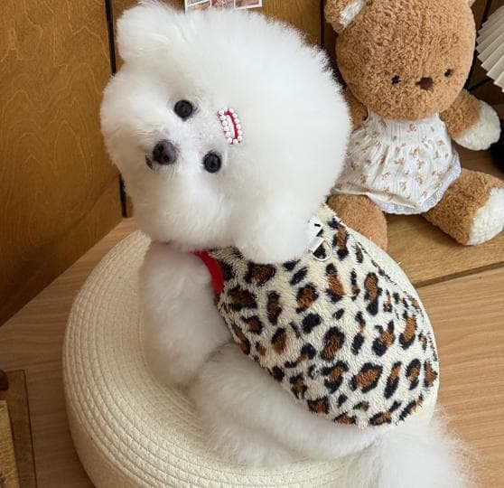 犬服　レオパード柄ファー　ドッグウェア