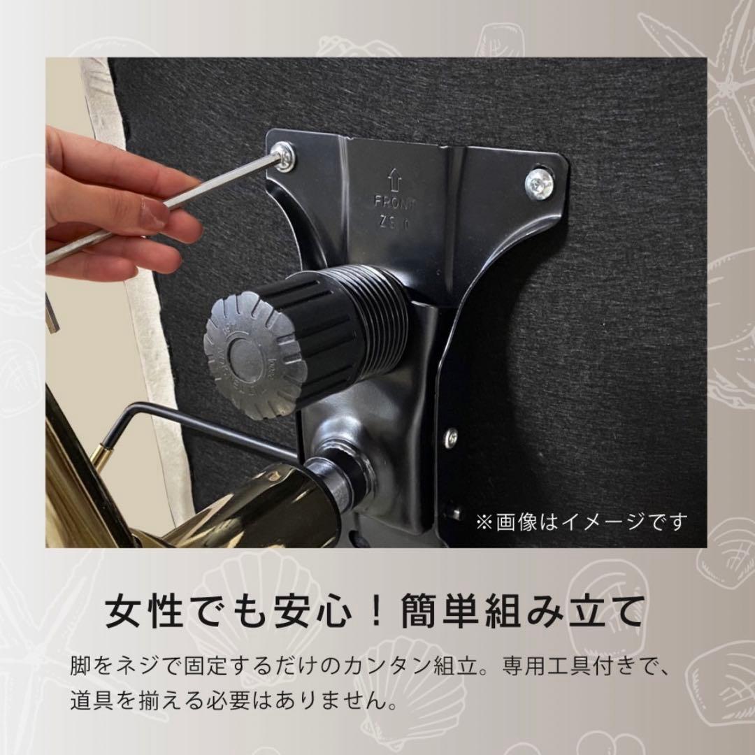 【美品】ASHEL Lumina