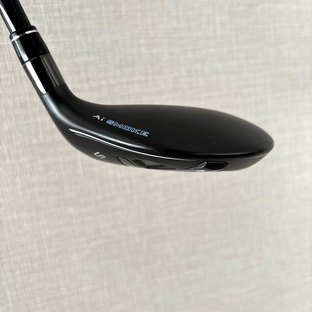 パラダイム Ai SMOKE MAX FAST （1W、5W、5U）セット