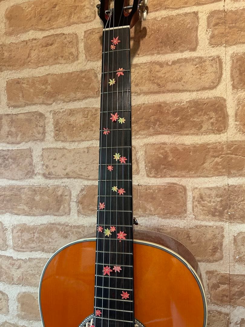 HEADWAYエレクトリックアコースティックギター