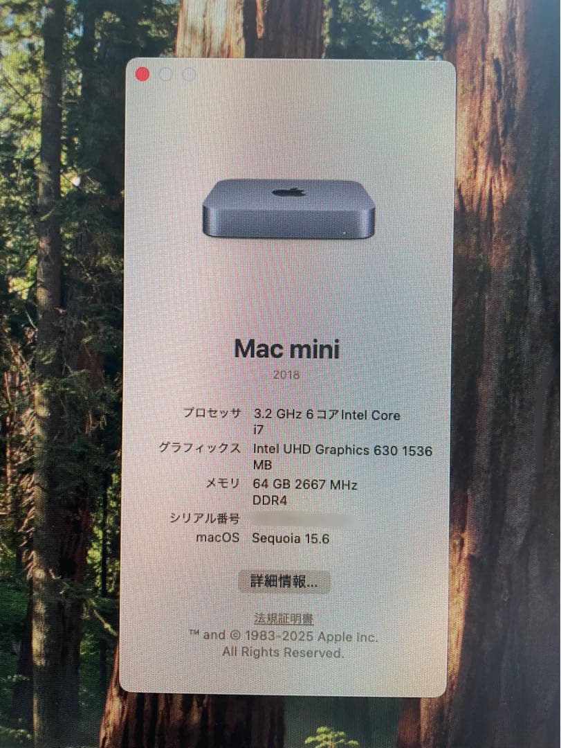 ミニPC Mac mini 2018 Intel i7 64GB SSD512GB