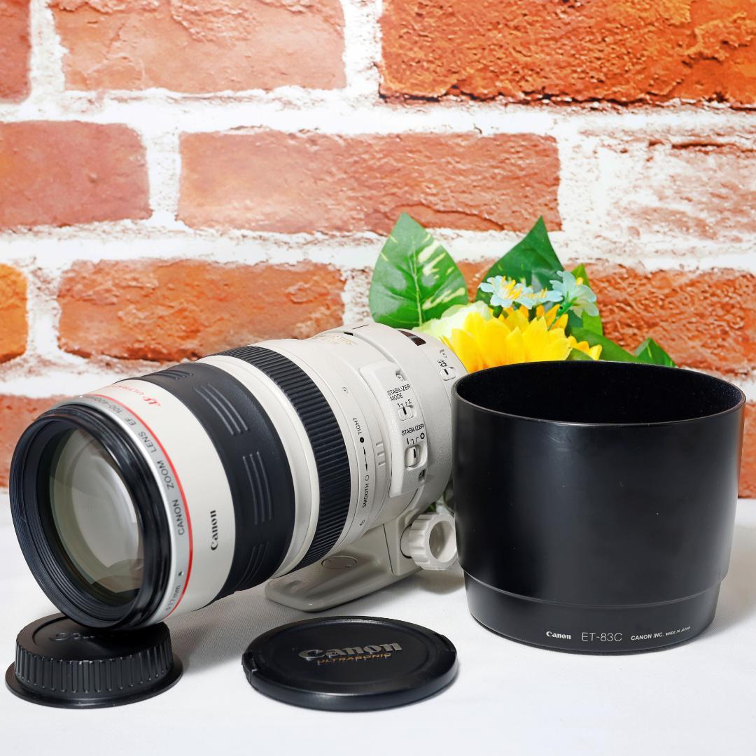 超望遠 Canon EF 100-400mm F4.5-5.6 L IS USM