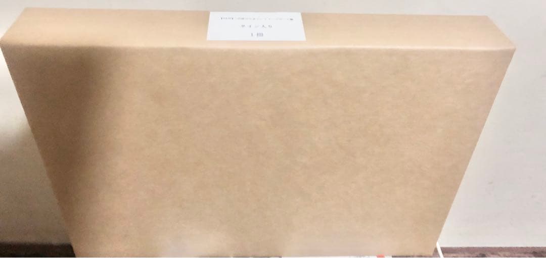 天野喜孝 直筆サイン入り 天使のたまご イメージボード集 100部 限定 即完