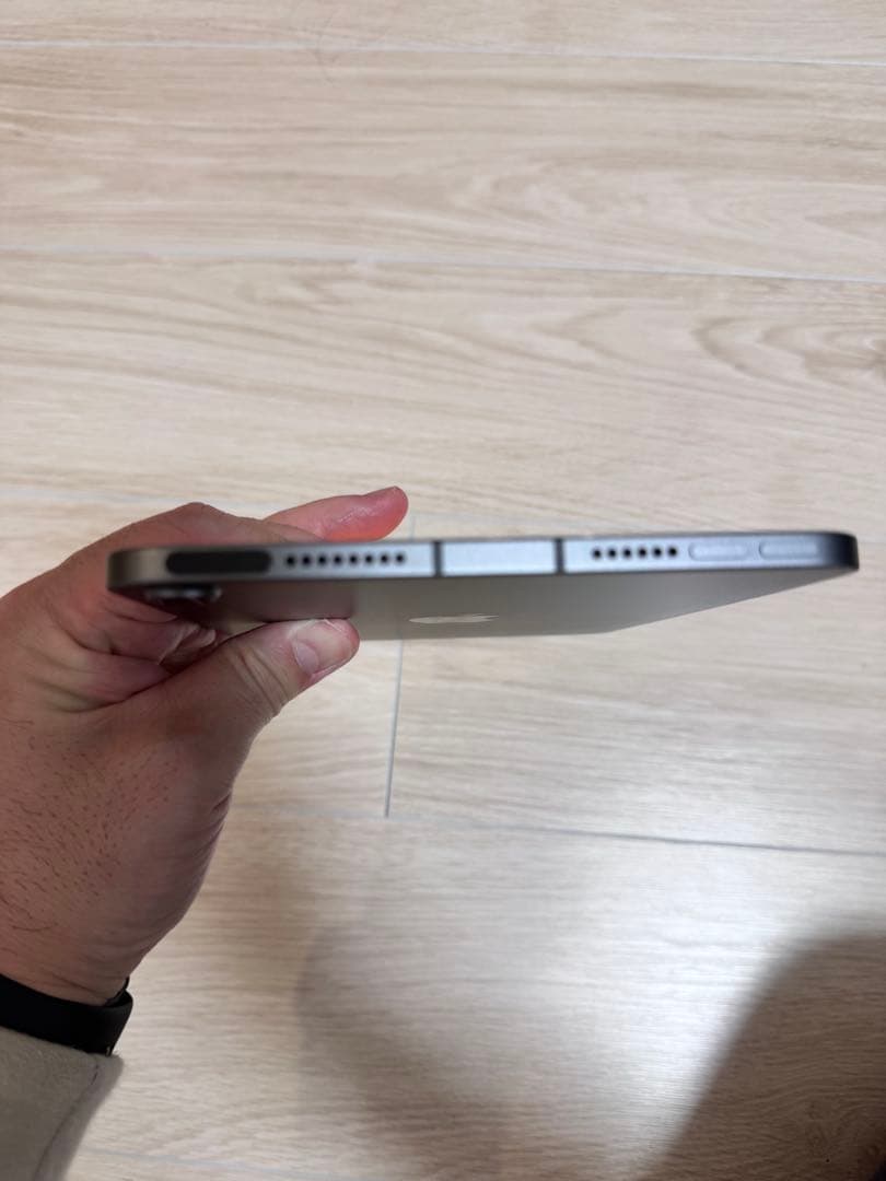 Apple iPad mini 第6世代 256GB wifi+ セルラー