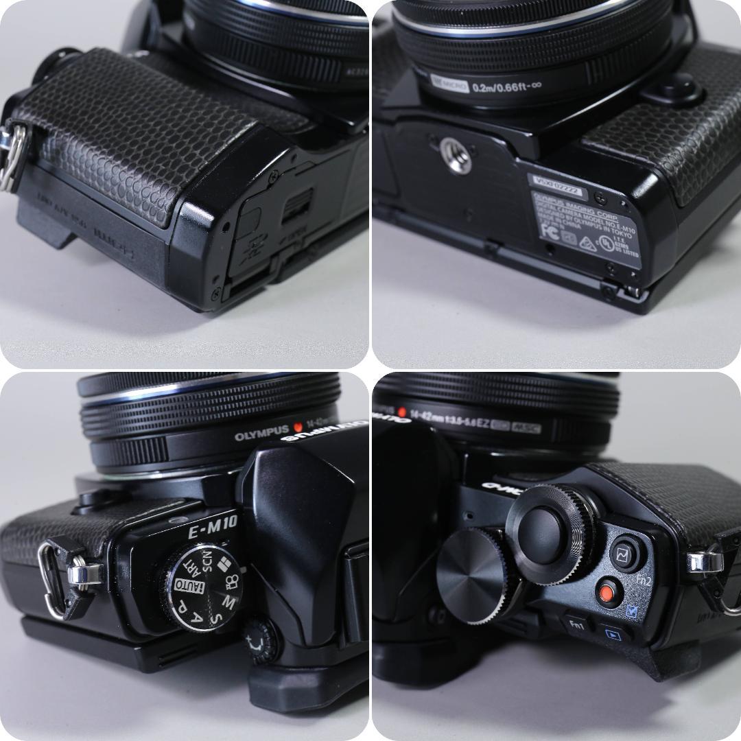 ☆特別限定モデル☆新品級 OLYMPUS OM-D E-M10 ＃355