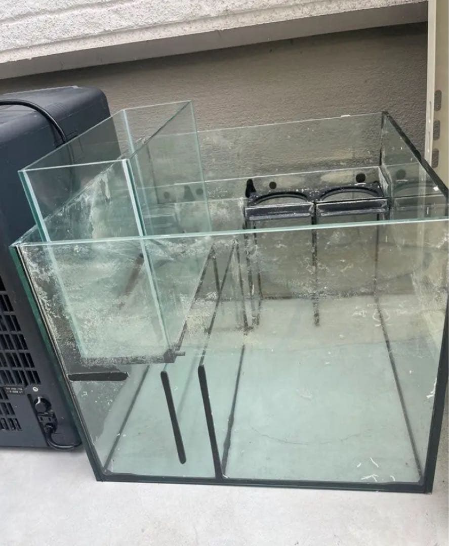 ○水無月さん限定○レッドシーリーファー２５０　ホワイト　水槽のみとサンプセット