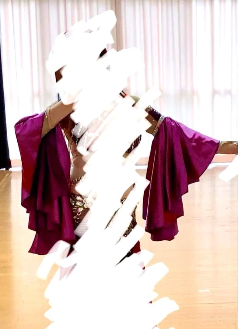 ベリーダンス　スリーブ　紫