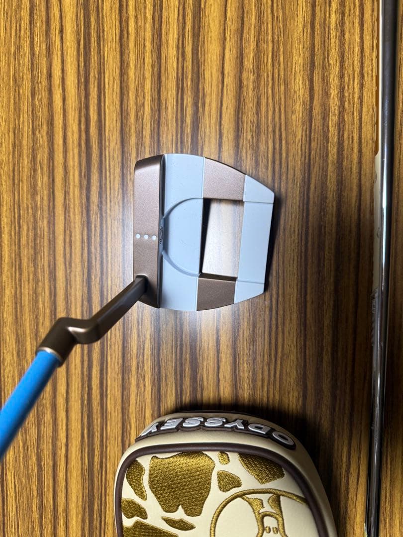 オデッセイ　ジラフビーム　ジェイルバードミニ　34インチ　KBSカーボンシャフト