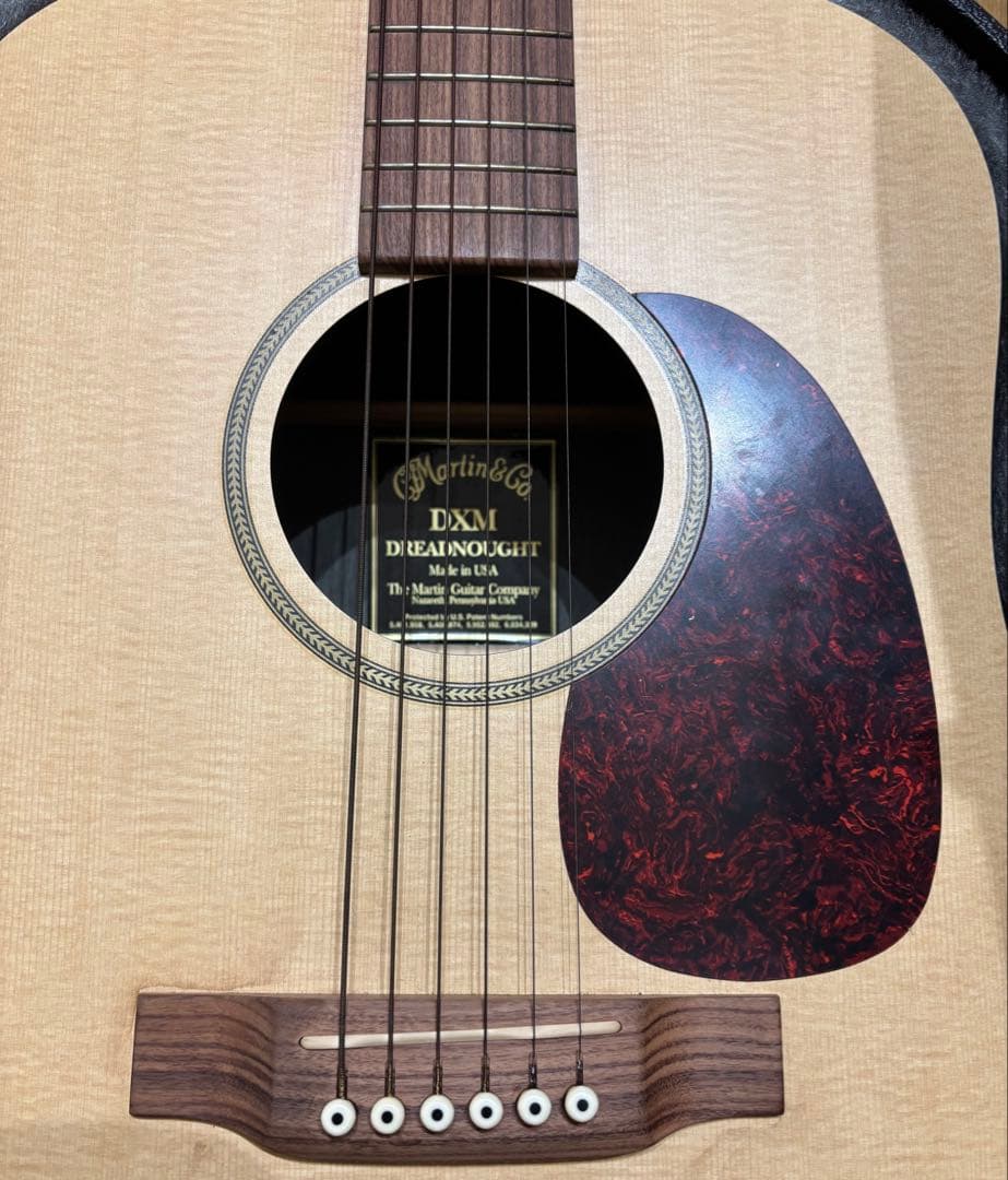 Martin & Co. DXM ドレッドノート アコースティックギター