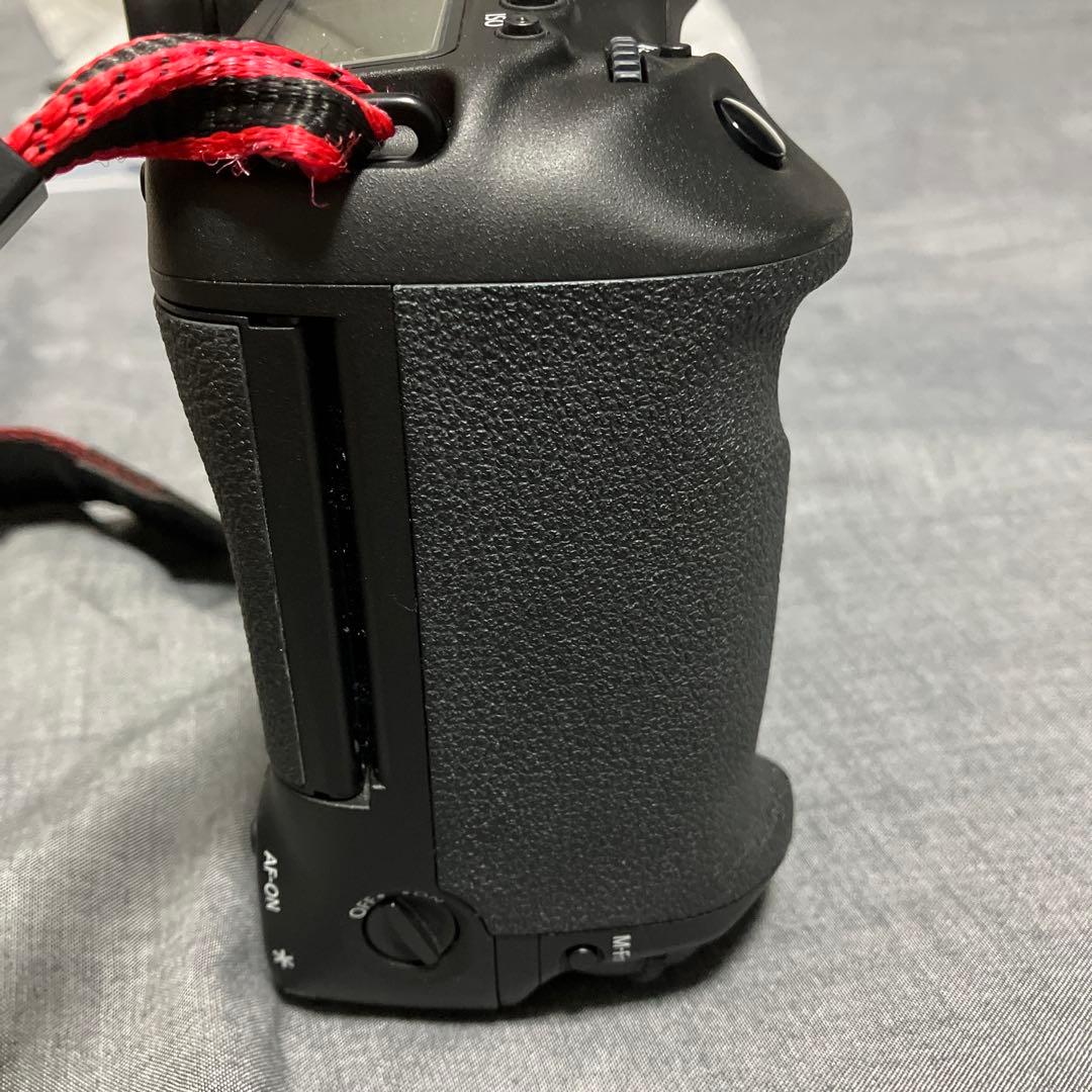 Canon EOS 1DXと充電器