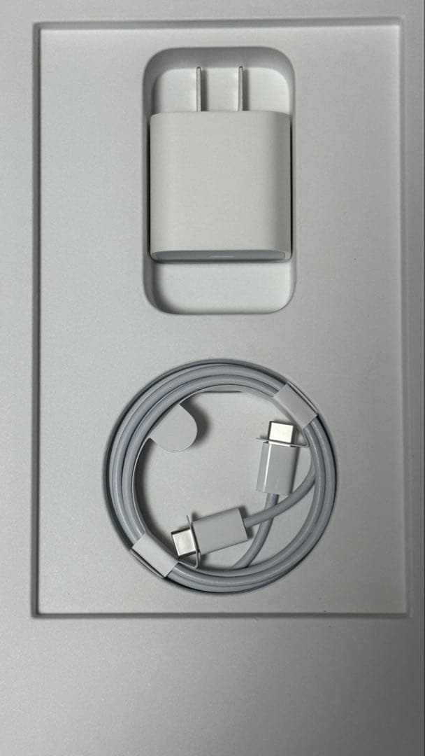 最終iPad Pro 12.9インチ 第４世代 Wi-Fi 128GB ペン付