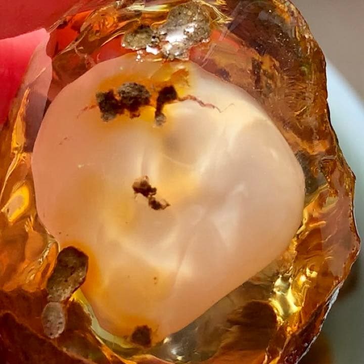 巨大エッグインオパール176.5ct/鉱物標本