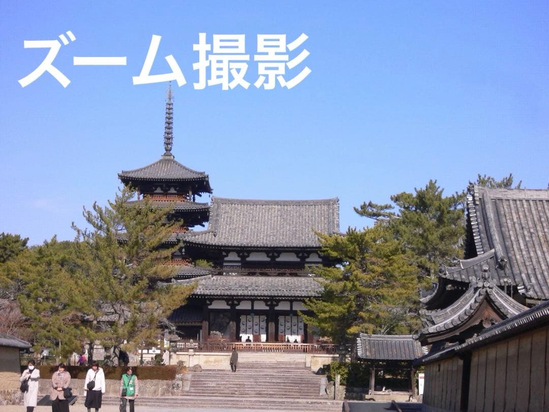 実写美⭕️美品【動作確認済】パナソニック LUMIX DMC-FX7 シルバー