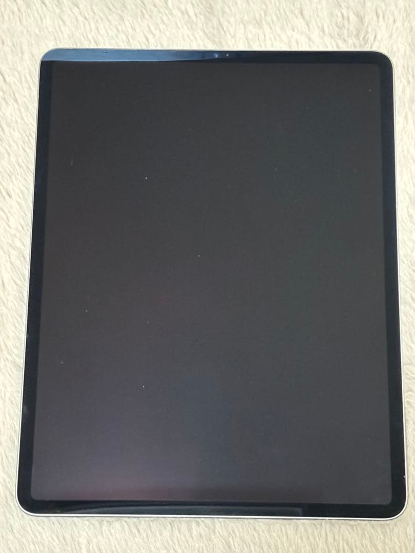 iPad Pro 12.9インチ 第5世代 256GB