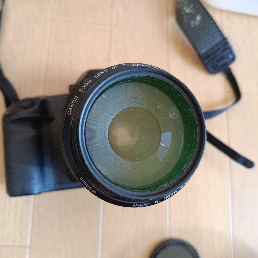 Canon EOS 3 + EF 75-300mmレンズ