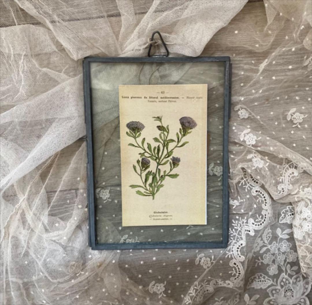 グラッシュマン❤壁掛けガラスフォトフレーム・M❤アイアン