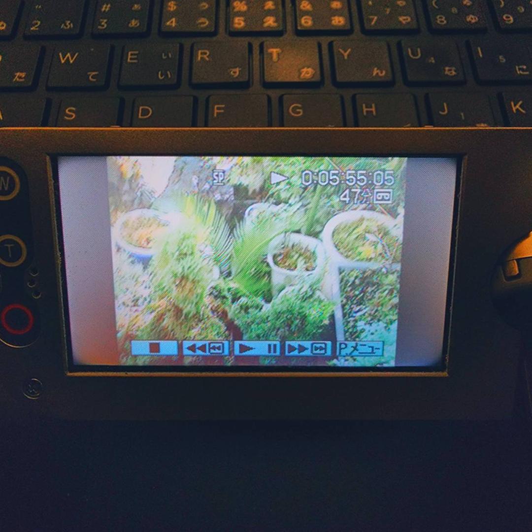 【動作確認済】SONY MiniDV 高画質 ビデオカメラ ナイトショット 対応