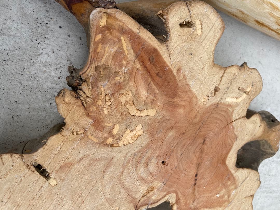 【訳あり】国産ヒノキ　鳥用止まり木　大型スタンド　約147センチ　中型インコ用