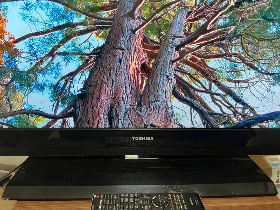 東芝　REGZA　40インチ　2011年製造　液晶テレビ