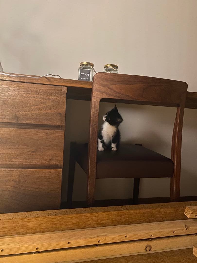 マスターウォール システムデスク ウォールナット 天板無垢 W2100