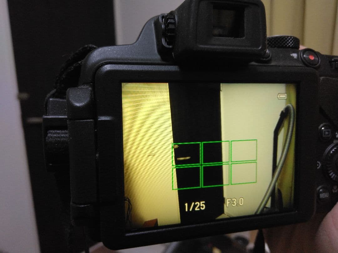 Nikon COOLPIX P520 本体と付属品