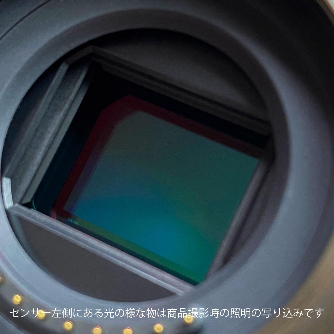 【美品】Lumix GM5 緑 Body / COTTA製サムレスト等 他付属