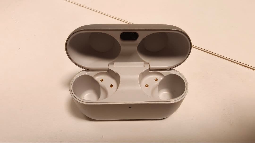 Technics EAH-AZ100-S テクニクス シルバー