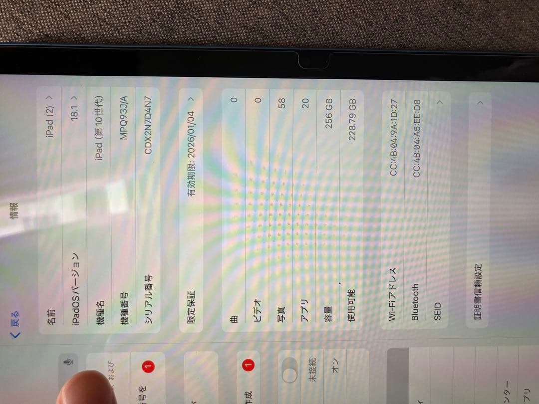 Apple iPad (第10世代) 256GB ブルー 本体 純正ケース付