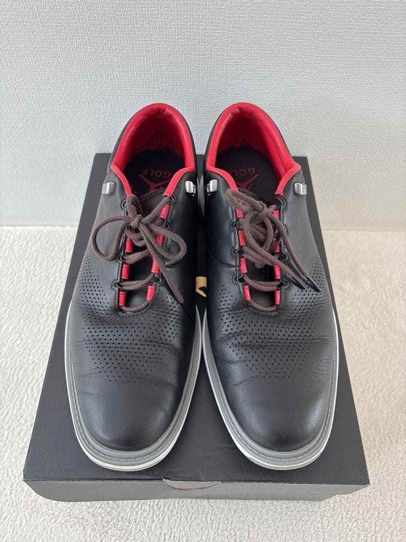 【送料無料 美品♡】NIKE ゴルフシューズ ジョーダンADG4 30センチ
