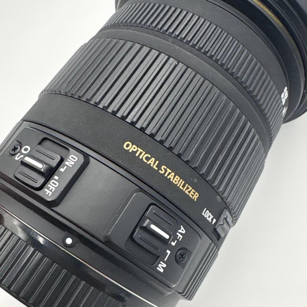 SIGMA 17-50mm F2.8 EX DC OS HSM 望遠レンズ