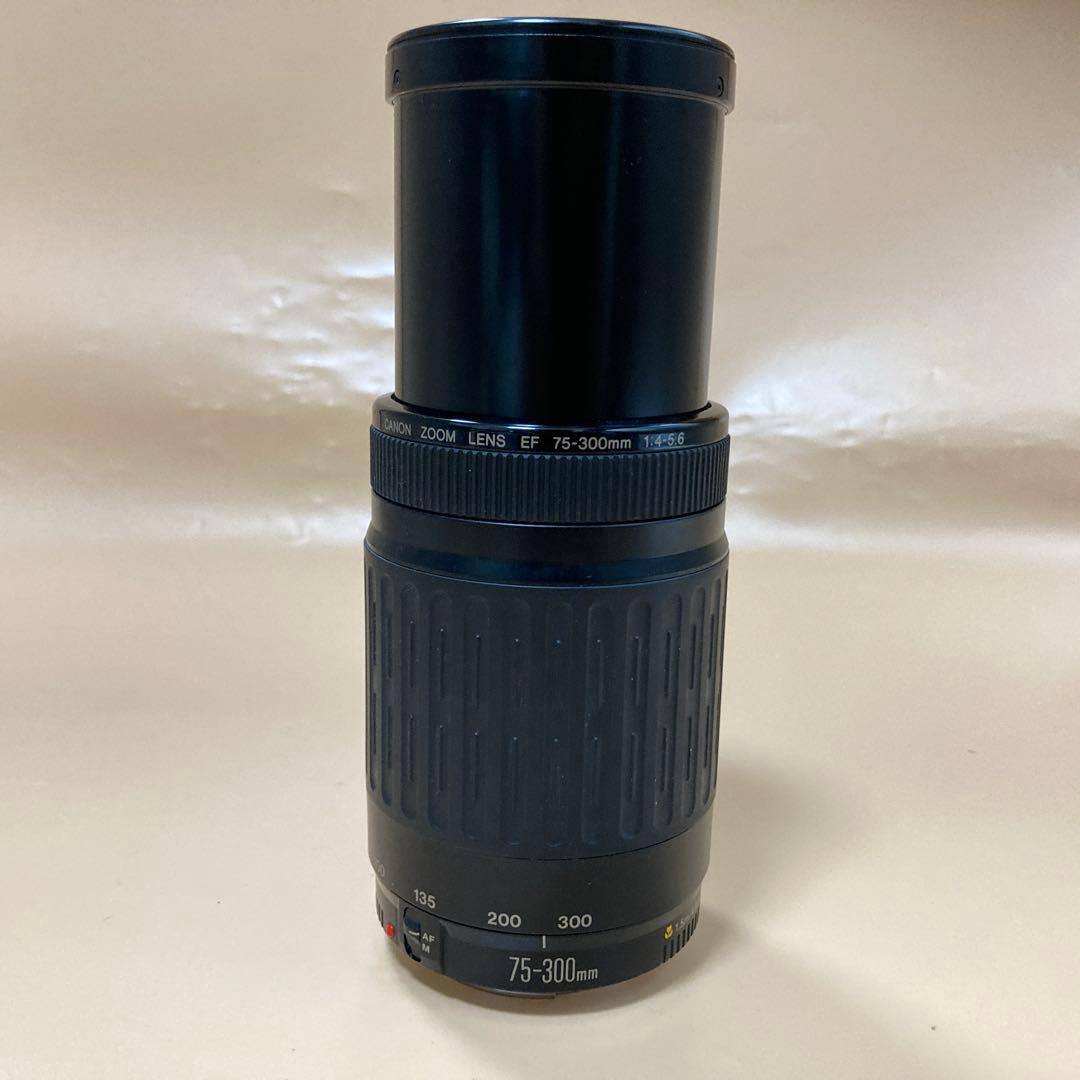 ★望遠レンズ★デジタル一眼レフカメラ Canon EF75-300㎜