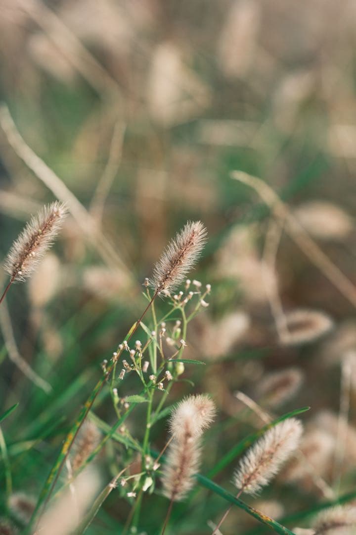 レンズ(単焦点) FUJIFILM XF 90mm F2 R LM WR