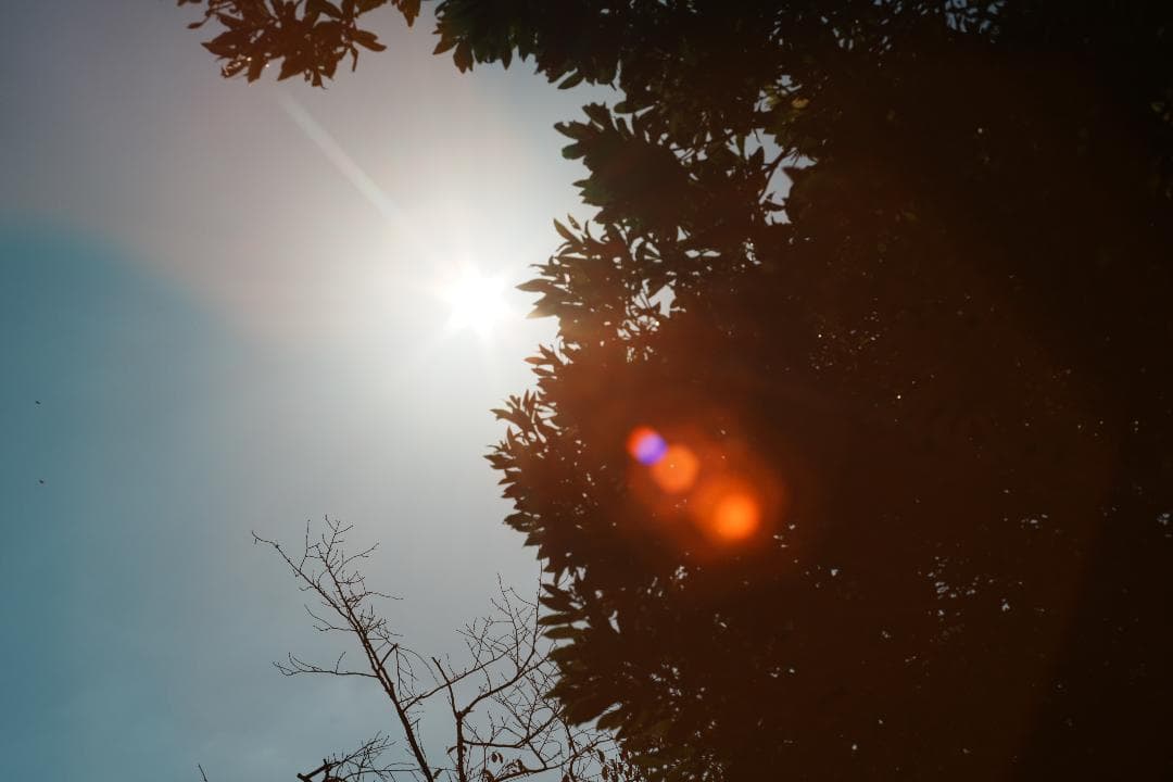 オールドレンズはここから Super Takumar 55mm F1.8 375