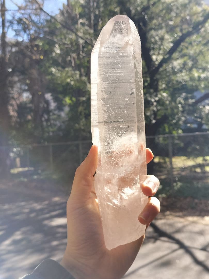 【早いもの勝ち超特価】レムリアンシード