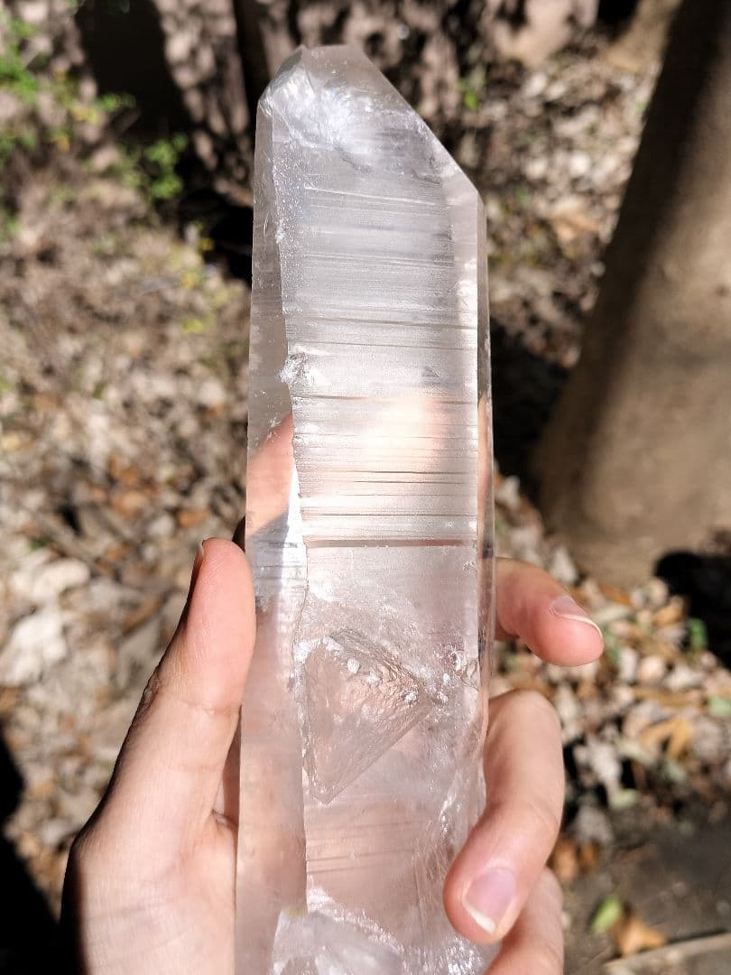 【早いもの勝ち超特価】レムリアンシード