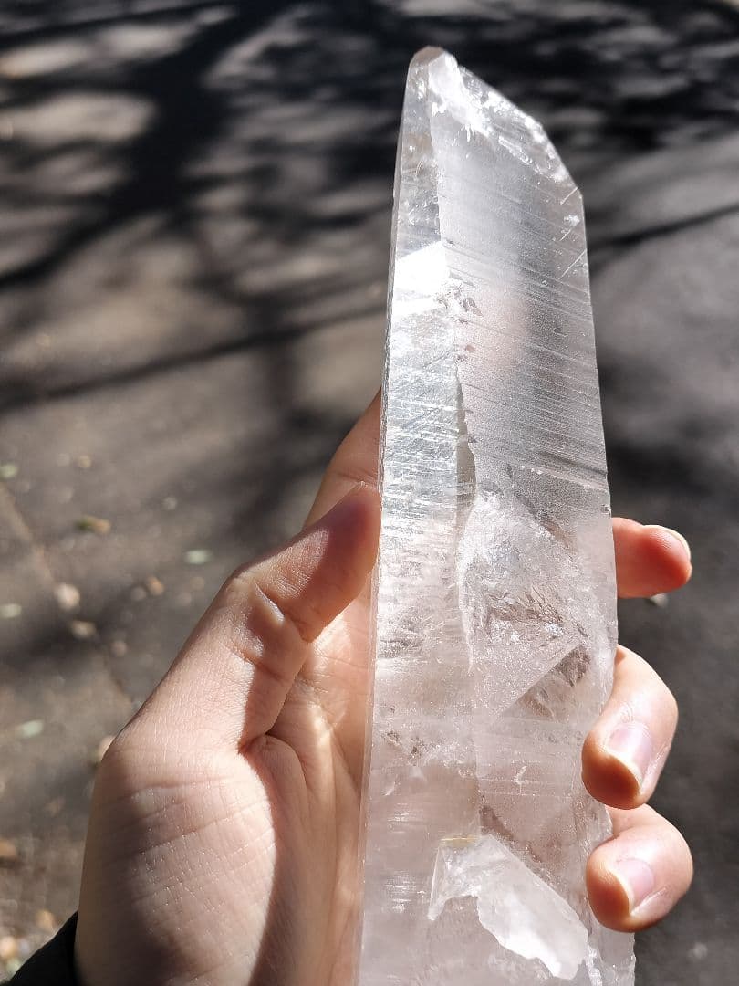 【早いもの勝ち超特価】レムリアンシード