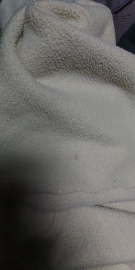 渋*男様 90sUSA製 Patagonia スナップT シンチラ L クリーム