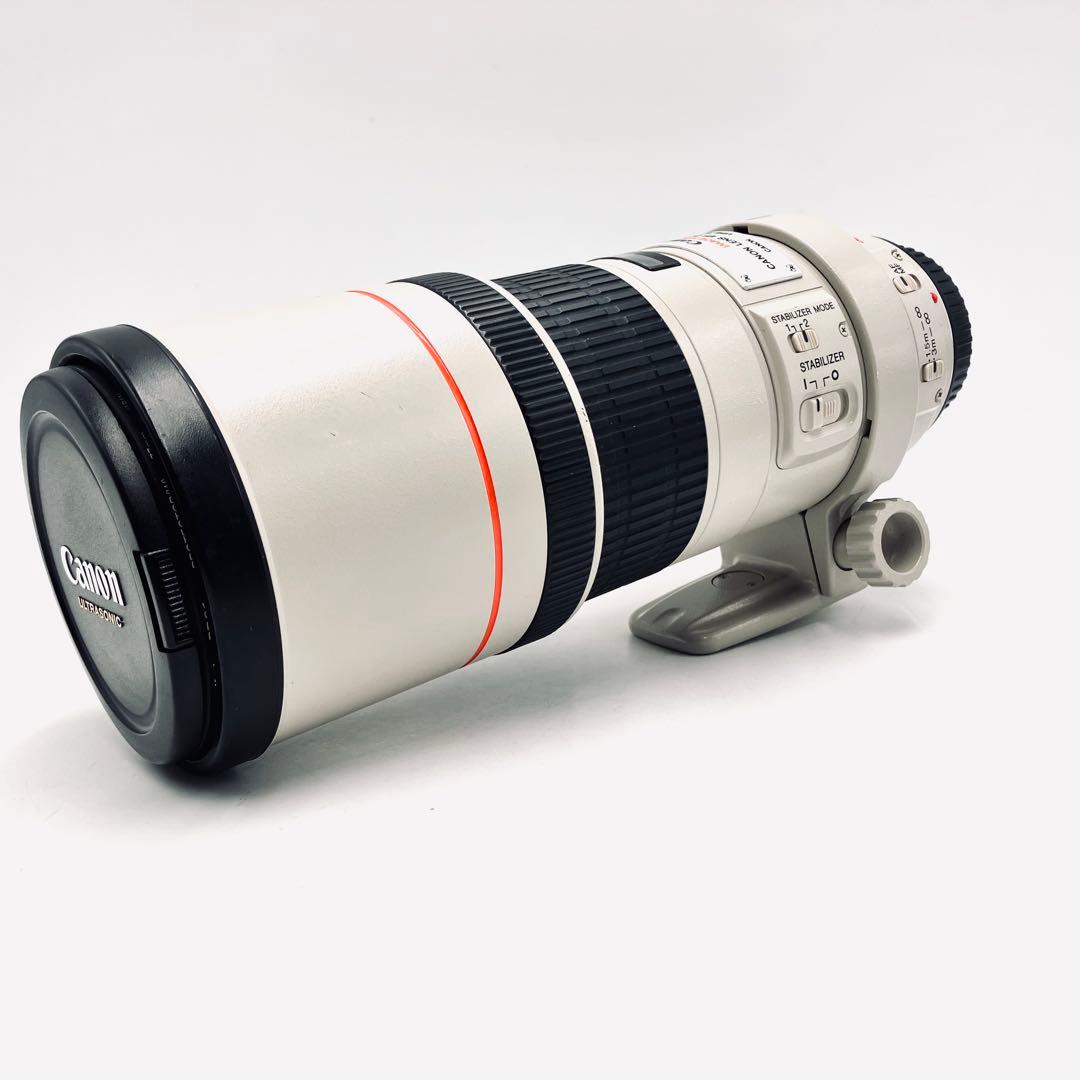レンズ(単焦点) Canon EF 300mm F4 L USM