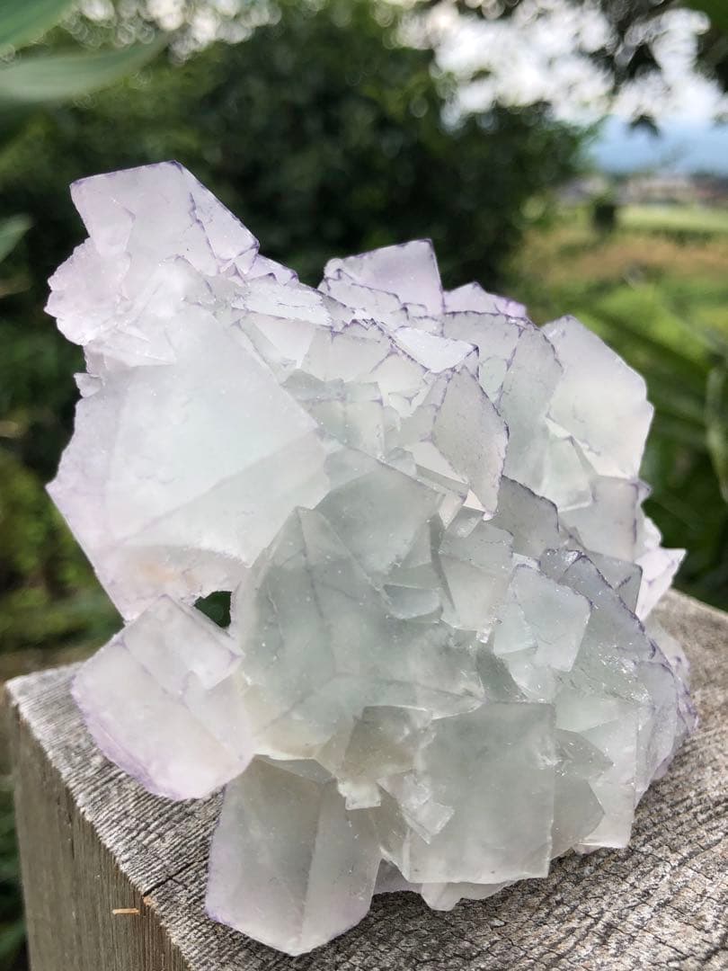 ❤️超レア　214g 綺麗　紫縁　グリーンフローライト　蛍石　クラスター