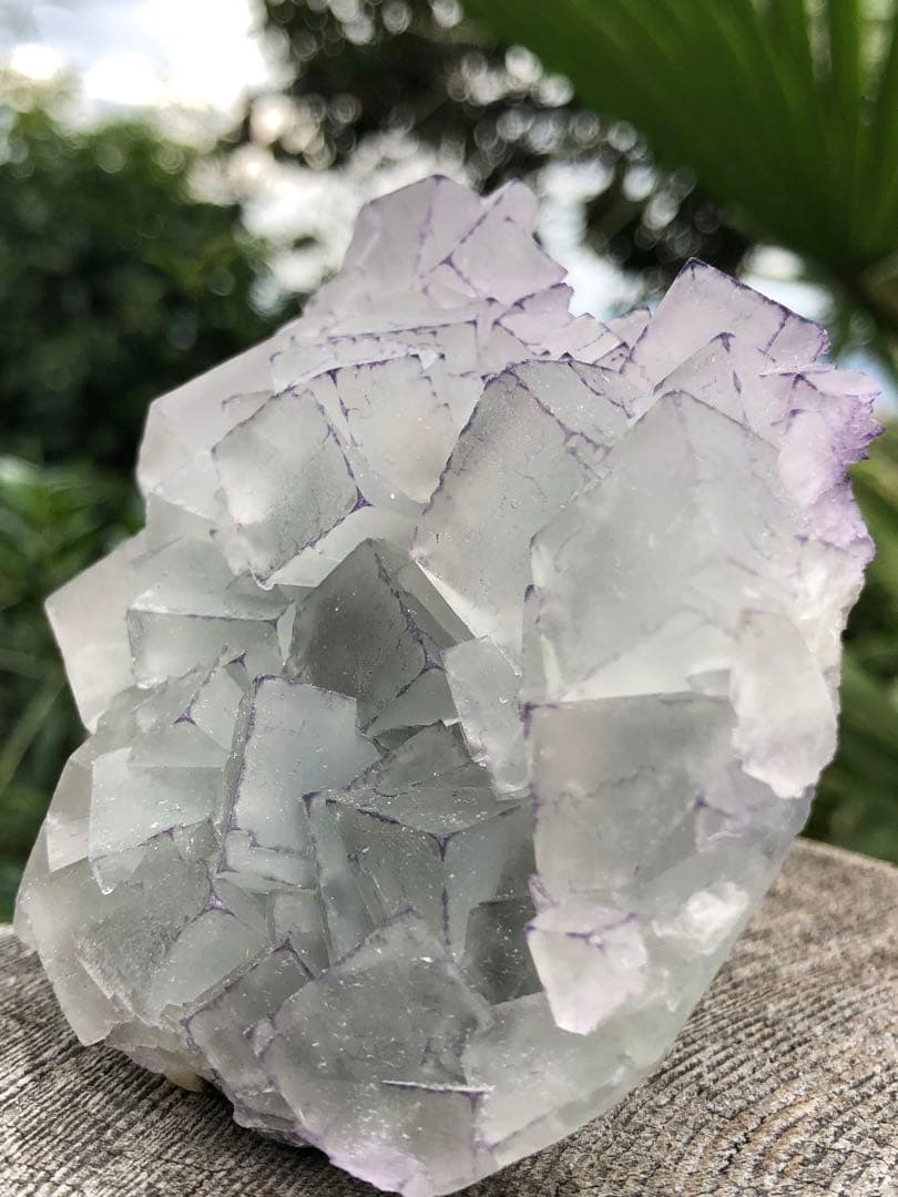 ❤️超レア　214g 綺麗　紫縁　グリーンフローライト　蛍石　クラスター