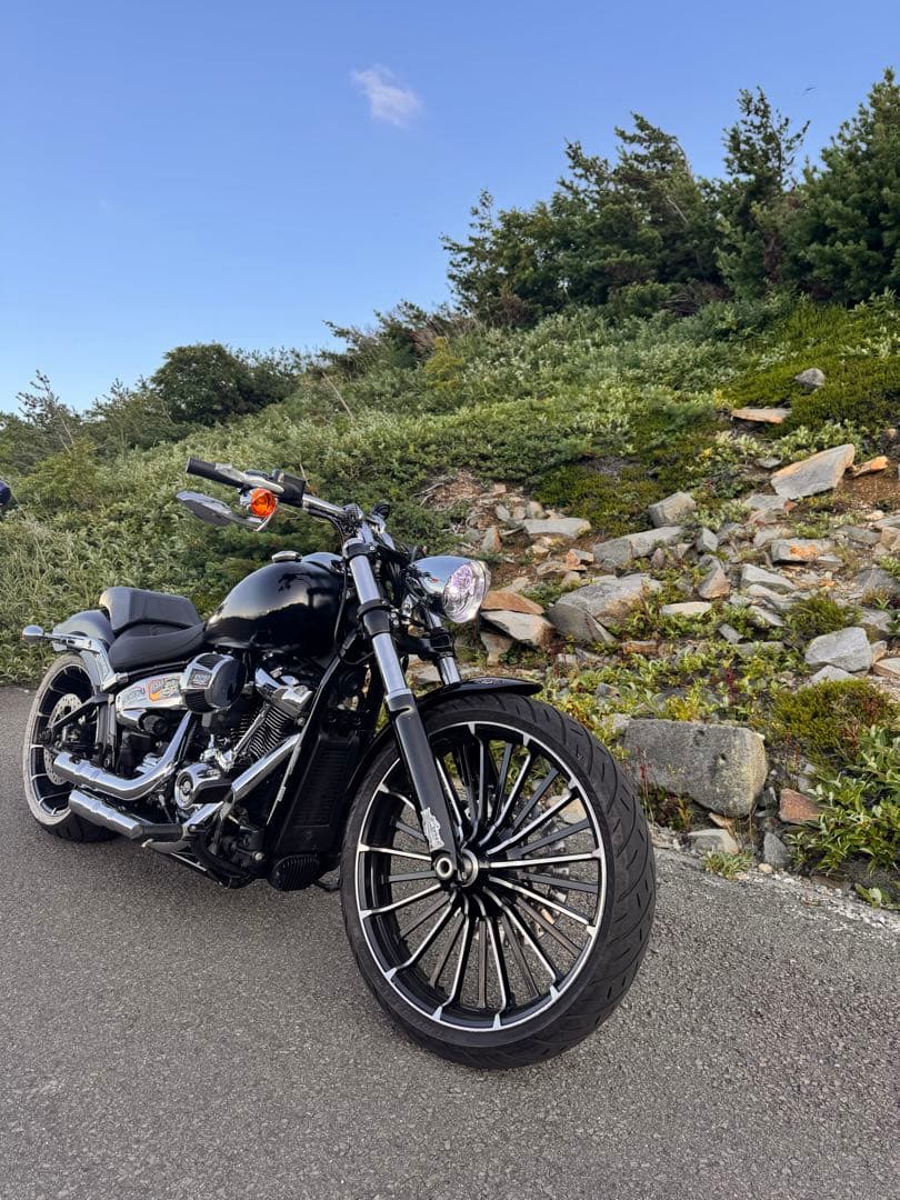 kikiさん専用 ブレイクアウト　ヘッドライト