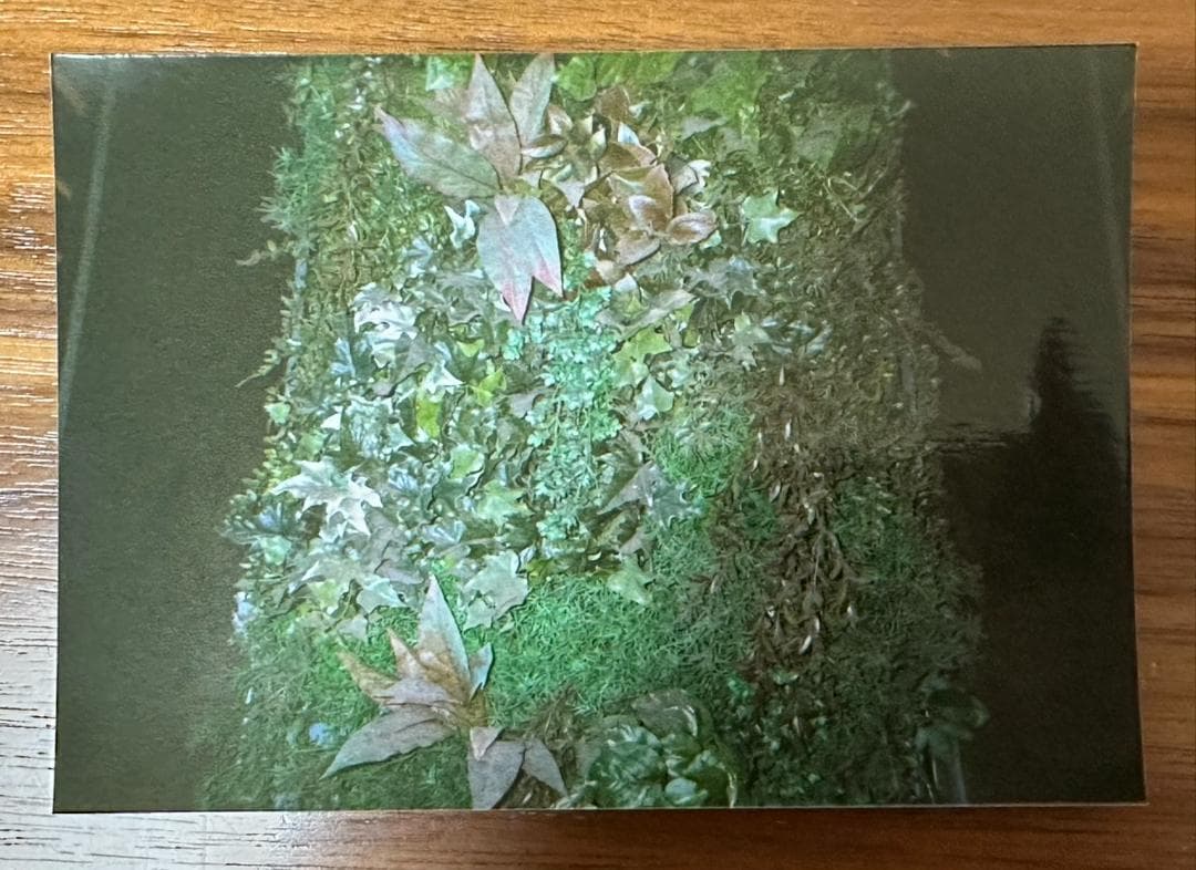 【動作確認済み】CONTAX TVS　コンタックスtvs