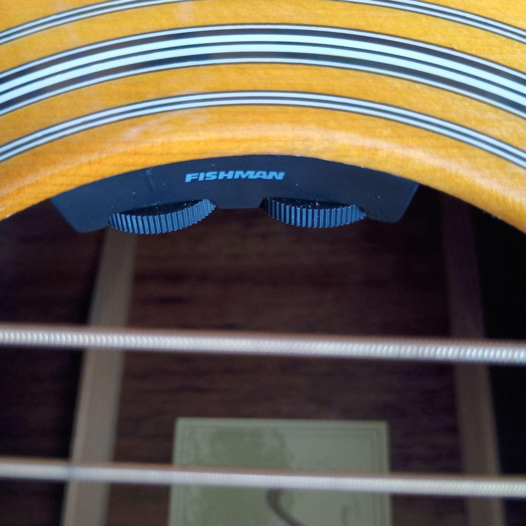 極美品エレアコ　James J-450D/SPL VNT アコースティックギター