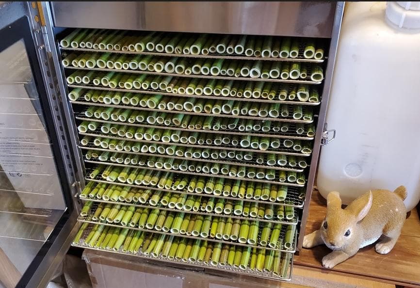 1400g　(国産・高品質)乾燥パパイヤの茎（無農薬・有機肥料）